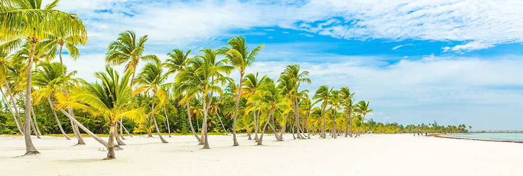 ALLES BRAUCHEN SIE ÜBER PUNTA CANA