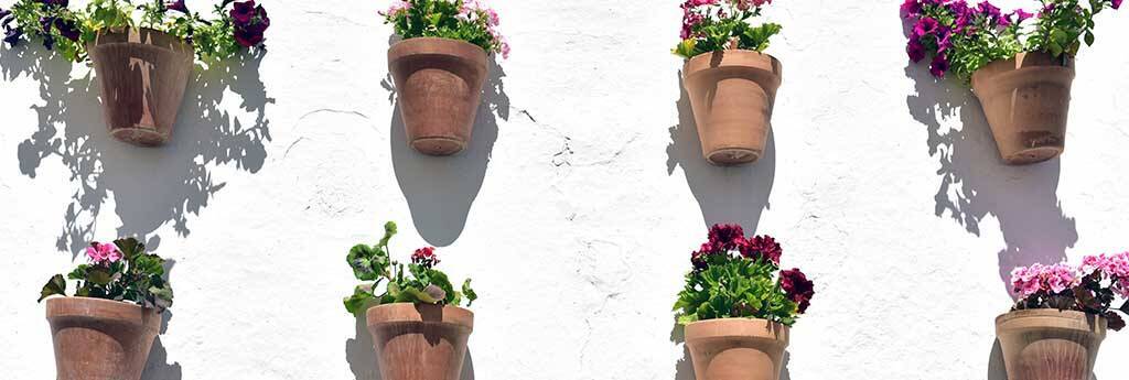 EVERYTHING YOU NEED TO KNOW ABOUT OLVERA