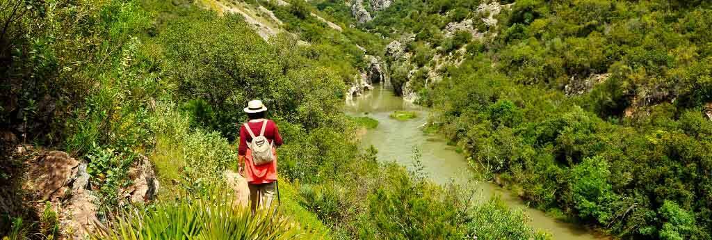 EVERYTHING YOU NEED TO KNOW ABOUT CORTES DE LA FRONTERA