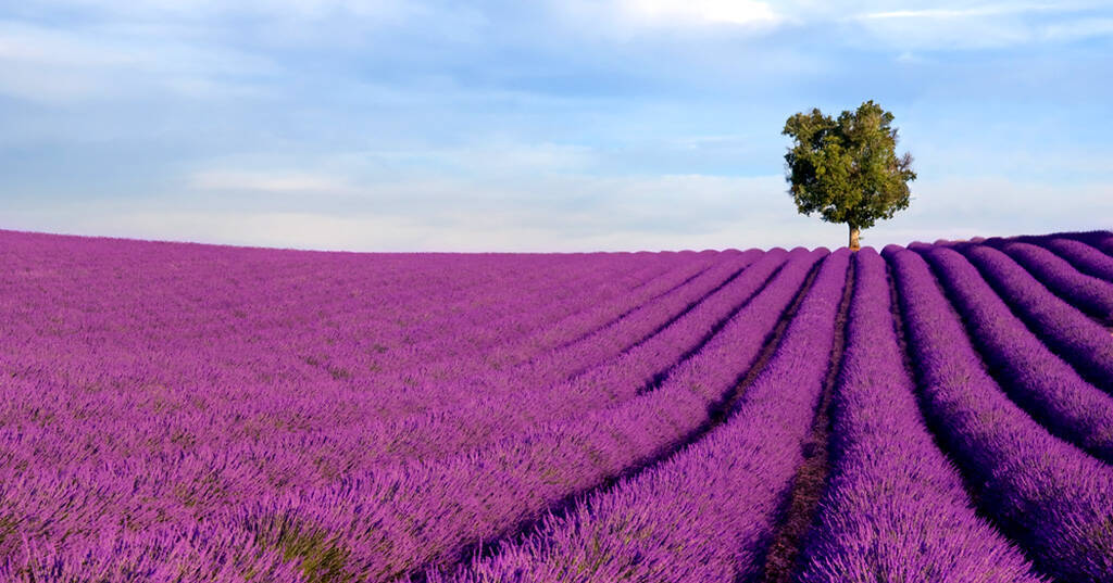 Vacation rentals in France