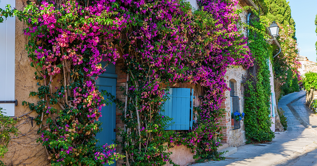 GRIMAUD