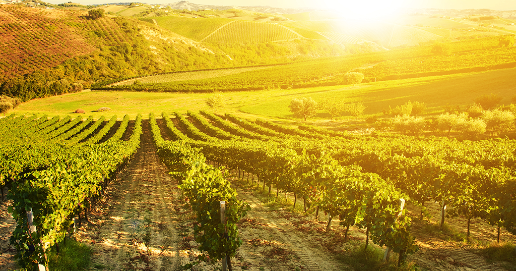 Montfort-sur-Argens