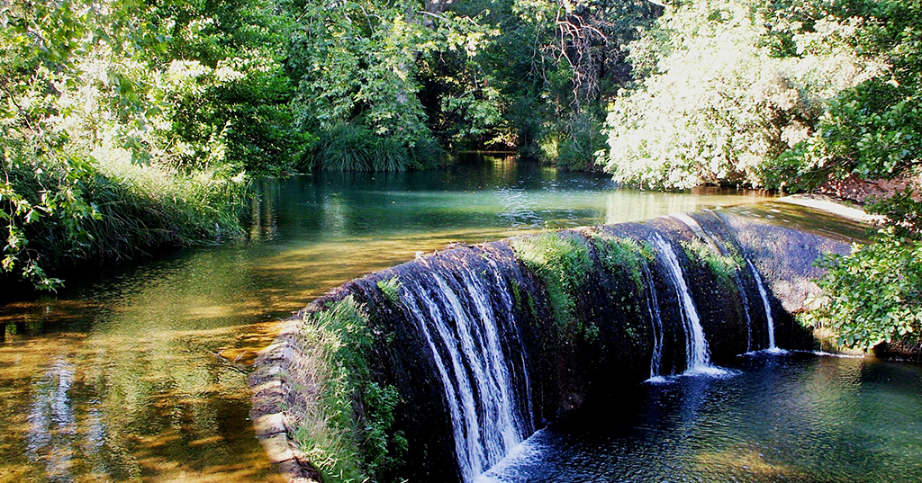 La Farlède