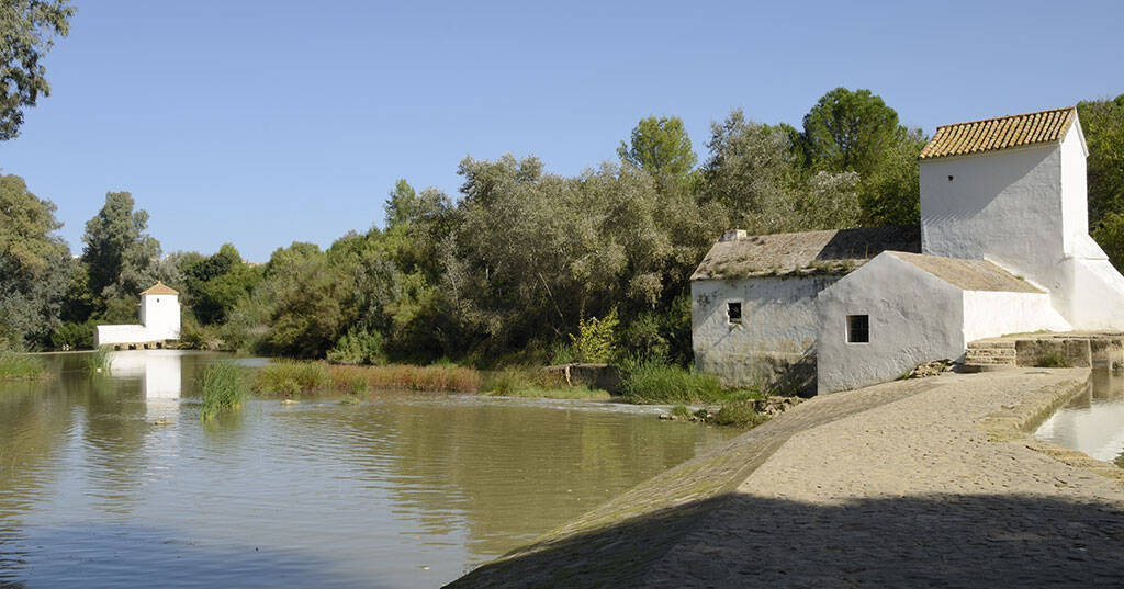 ALCALA DE GUADAIRA