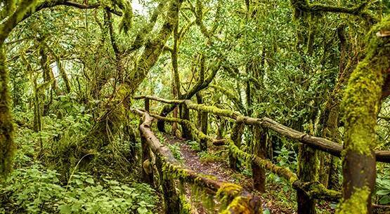 La Gomera