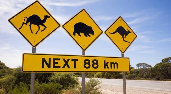Sur de Australia