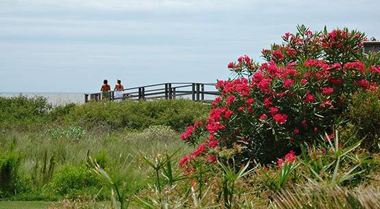 Isla Kiawah