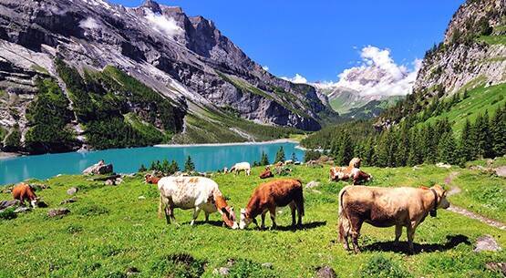 Berner Oberland