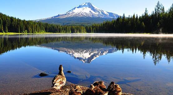 Mount Hood