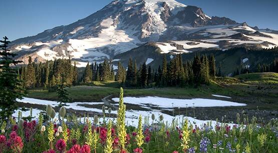 Cascade mountains