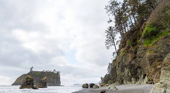 Olympic peninsula