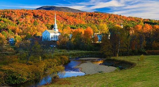 Stowe area