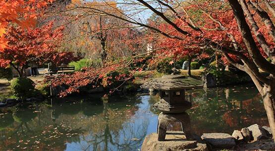 Kyoto, Kyoto Prefecture