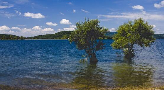 Beaver Lake