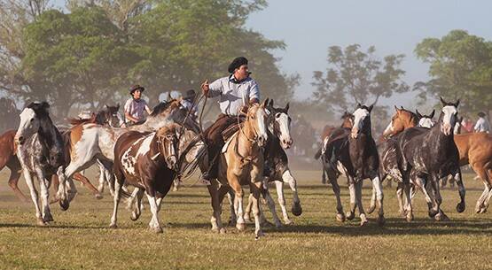 Provincie Buenos Aires