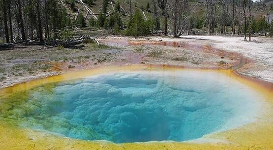 Yellowstone NP