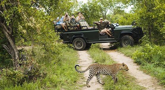 Parque Nacional Kruger