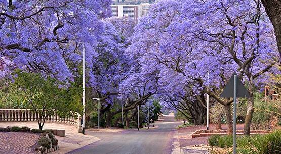 Pretoria