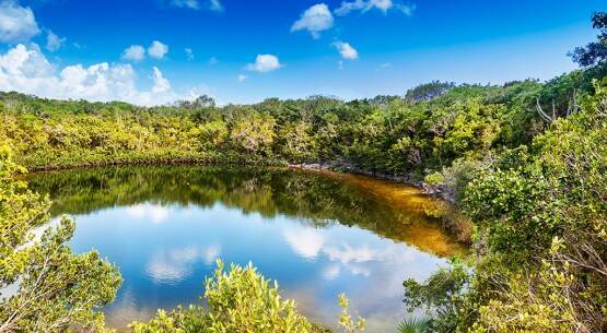 Caicos del Norte