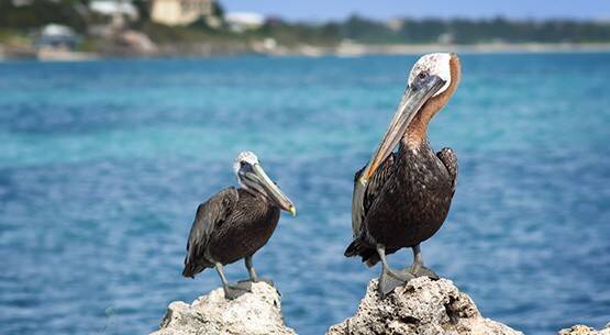 Providenciales